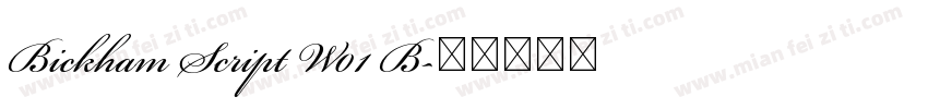 Bickham Script W01 B字体转换